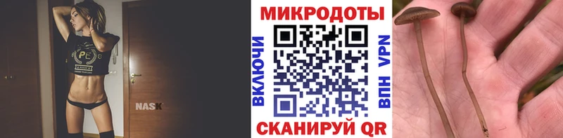 mega онион где купить наркоту Томилино Галлюциногенные грибы Magic Shrooms